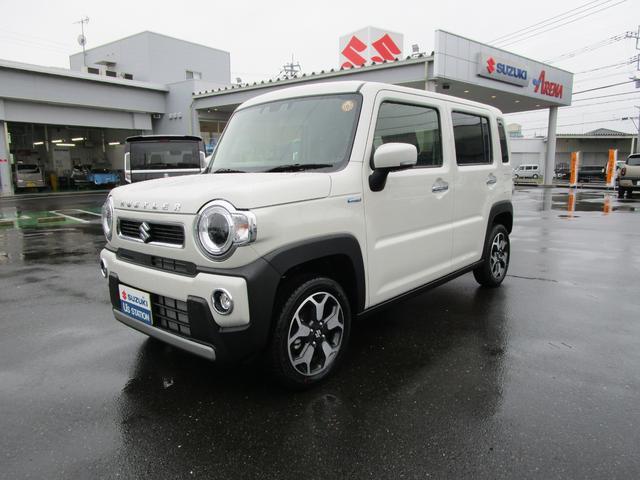 Suzuki Hustler 7