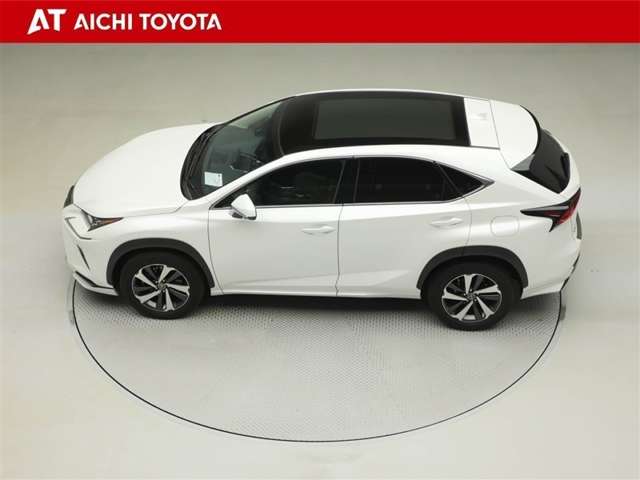 Lexus NX 11