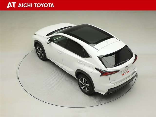 Lexus NX 12