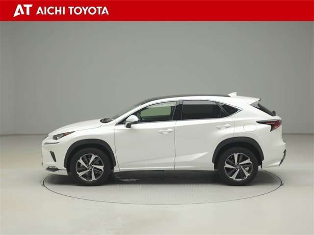 Lexus NX 3
