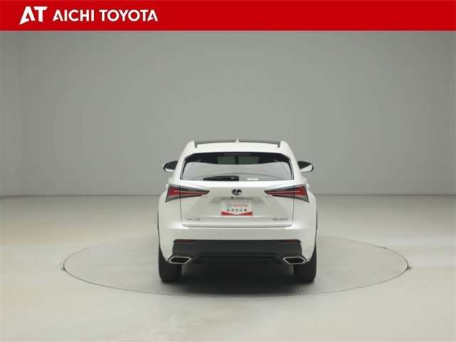 Lexus NX 5