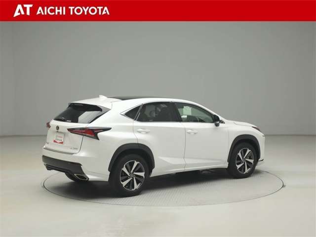 Lexus NX 6