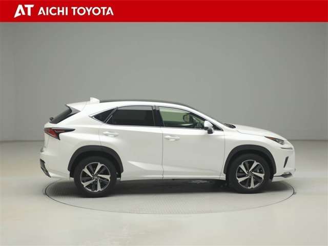 Lexus NX 7