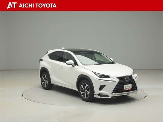 Lexus NX 8