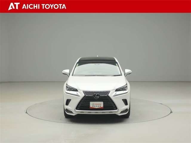 Lexus NX 9