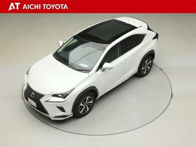 Lexus NX 10
