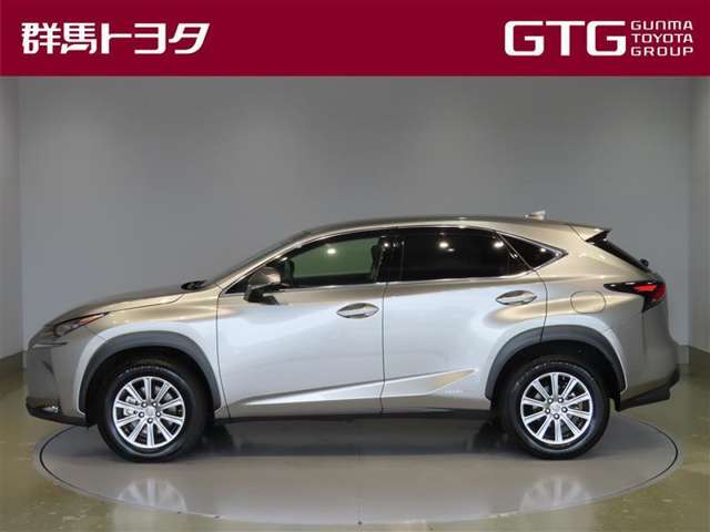 Lexus NX 4