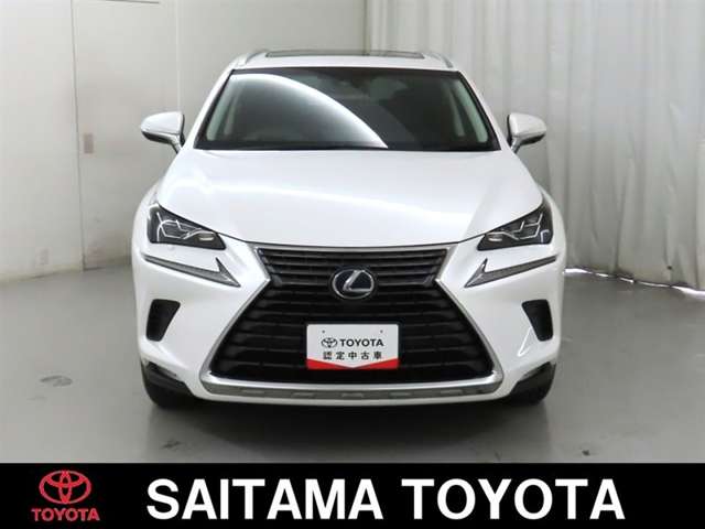 Lexus NX 11