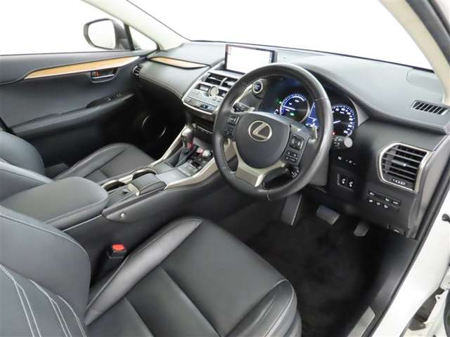 Lexus NX 12