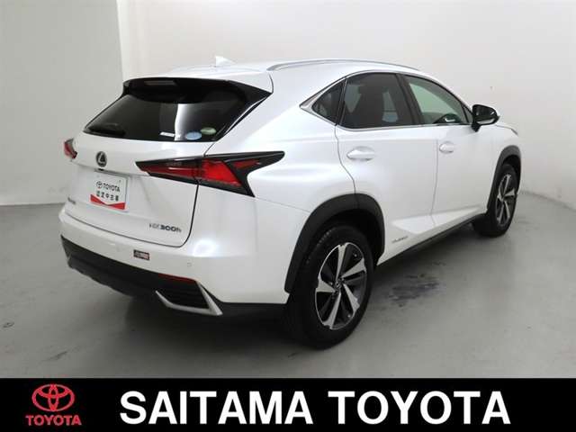 Lexus NX 9