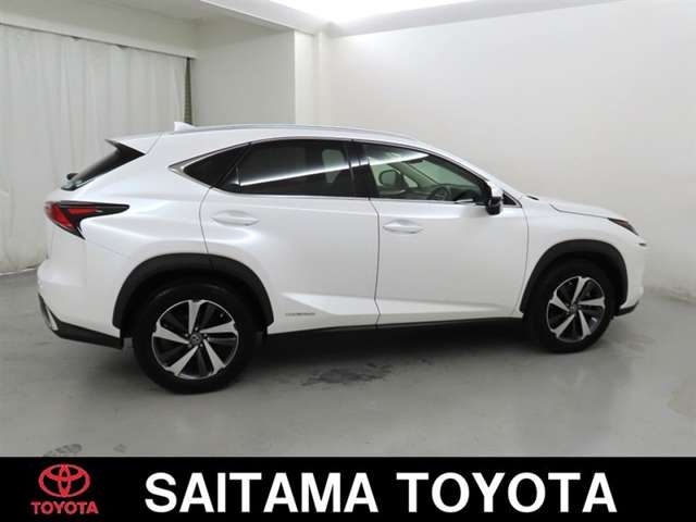 Lexus NX 10