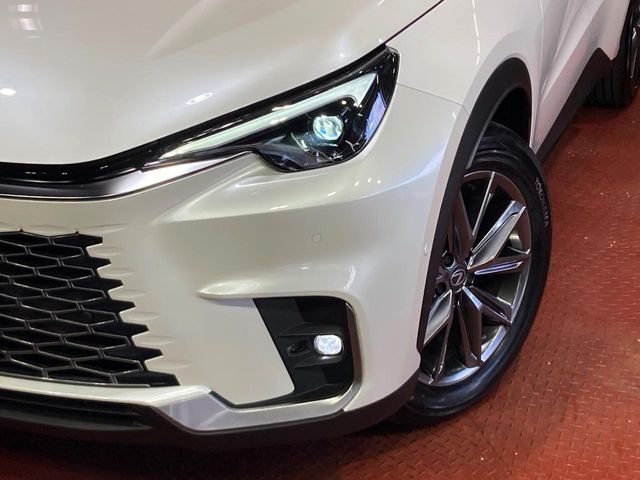 Lexus LBX 12