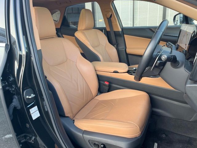 Lexus NX 12