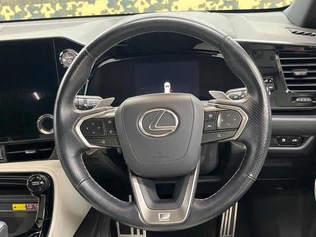 Lexus NX 11