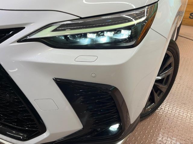 Lexus NX 12