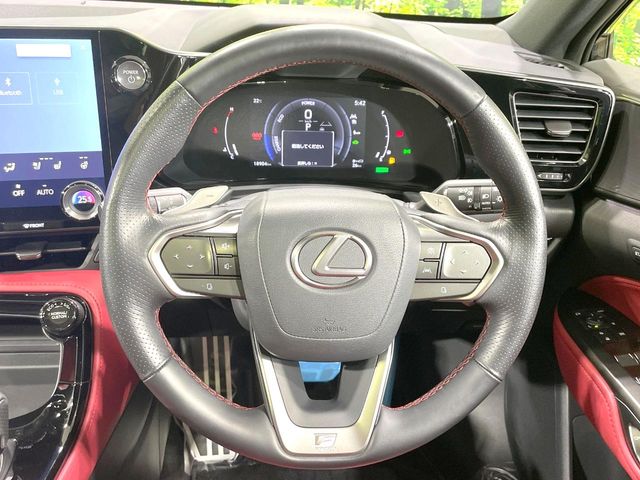 Lexus NX 11