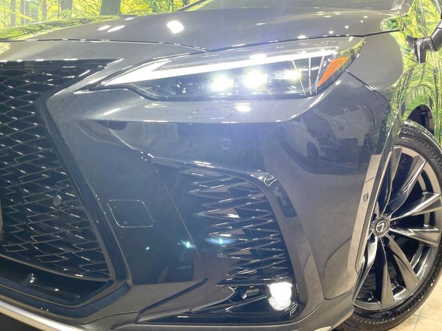Lexus NX 12