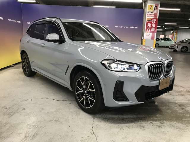 BMW X3 10