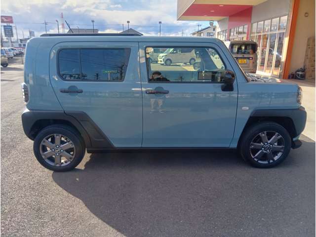 Daihatsu Taft 8