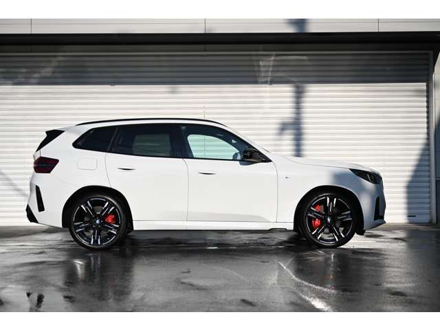 BMW X3 8