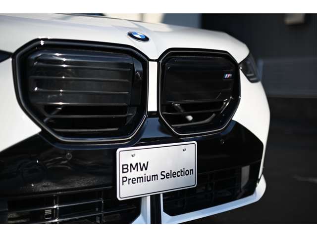 BMW X3 11