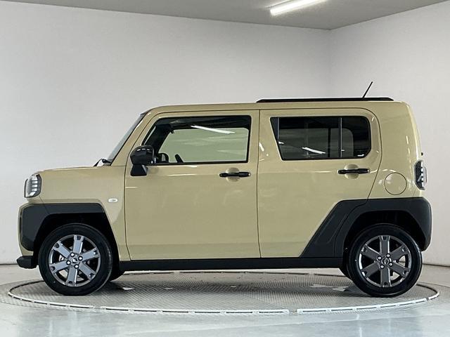 Daihatsu Taft 11