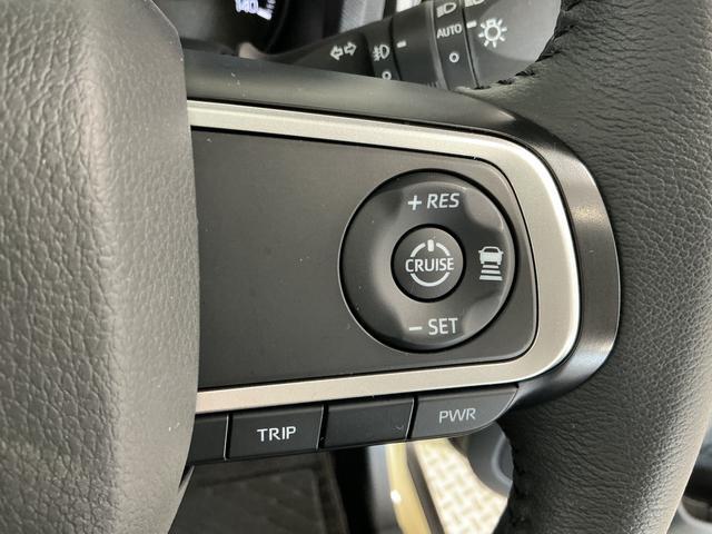 Daihatsu Taft 6