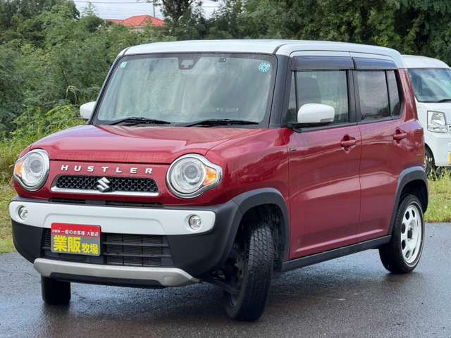 Suzuki Hustler 6