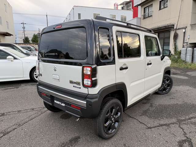 Suzuki Hustler 8