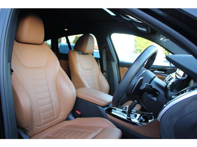 BMW X4 7