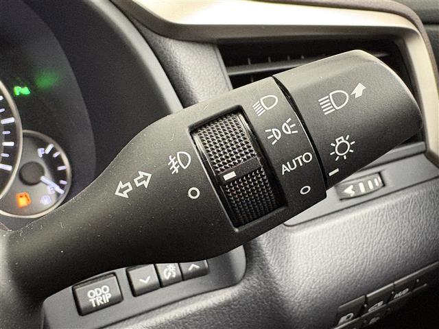 Lexus RX 12