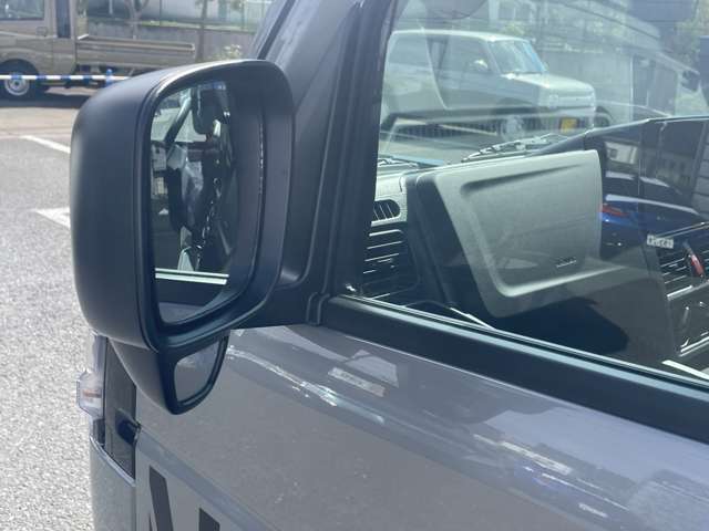 Suzuki Carry 11