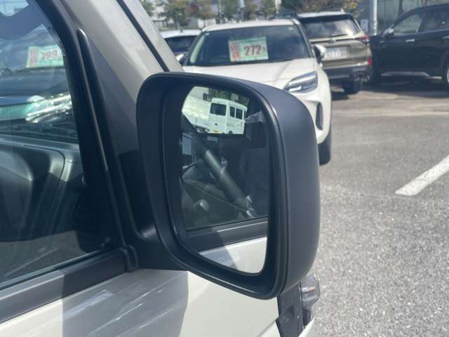 Suzuki Carry 12