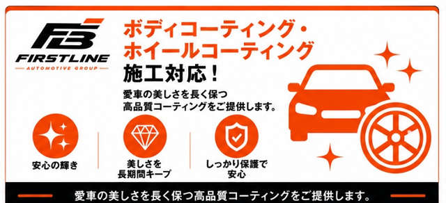 Toyota Land Cruiser 300 3