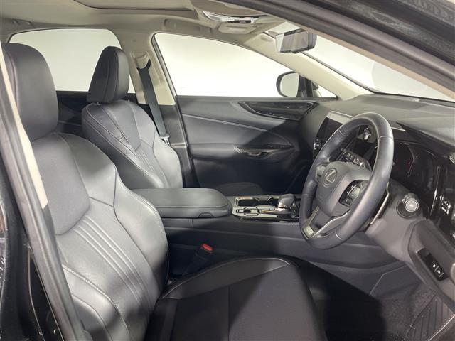 Lexus NX 6