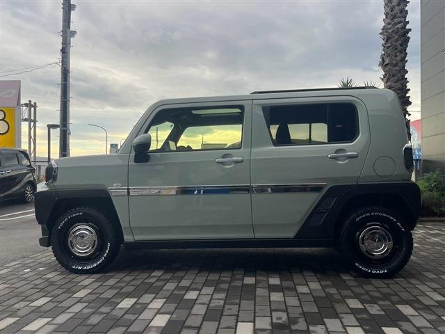 Daihatsu Taft 8