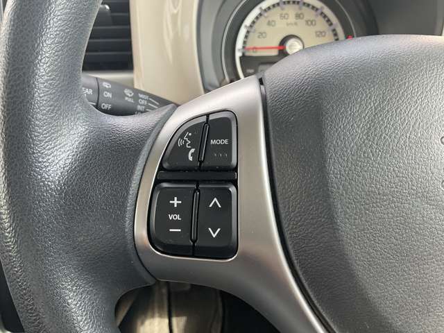 Suzuki Hustler 10