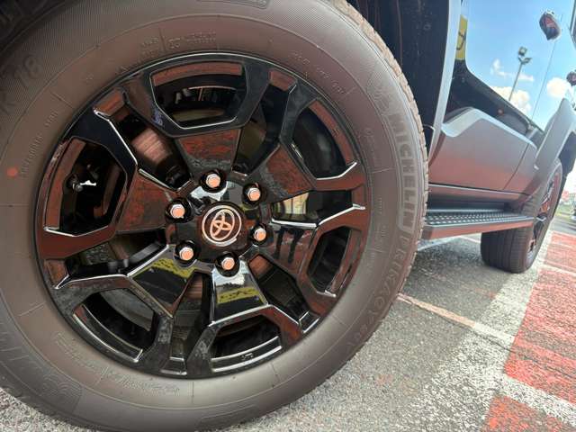 Toyota Land Cruiser FJ 13