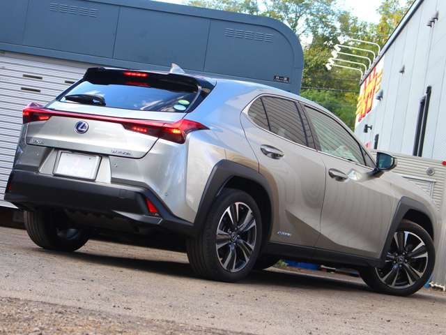 Lexus UX 6