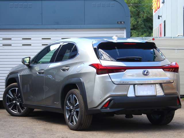 Lexus UX 7