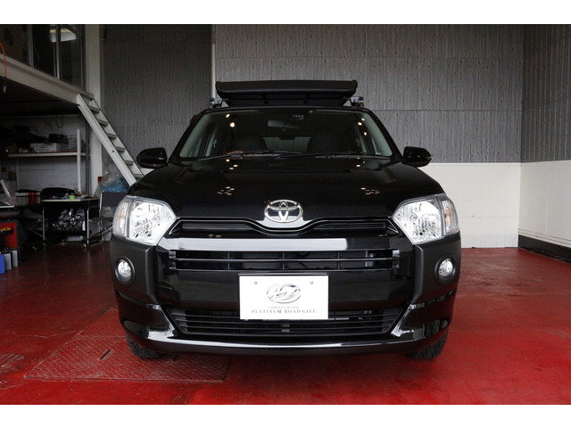 Toyota Probox Van 2