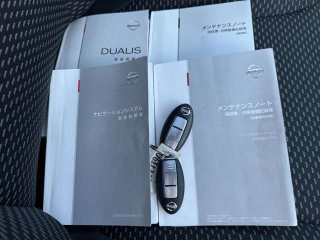 Nissan Dualis 11