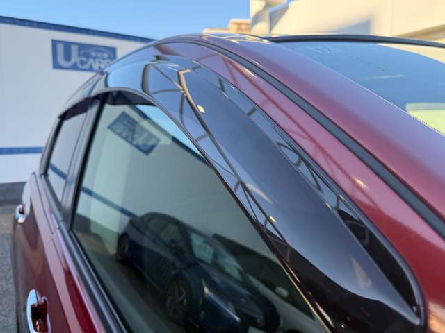 Nissan Dualis 10
