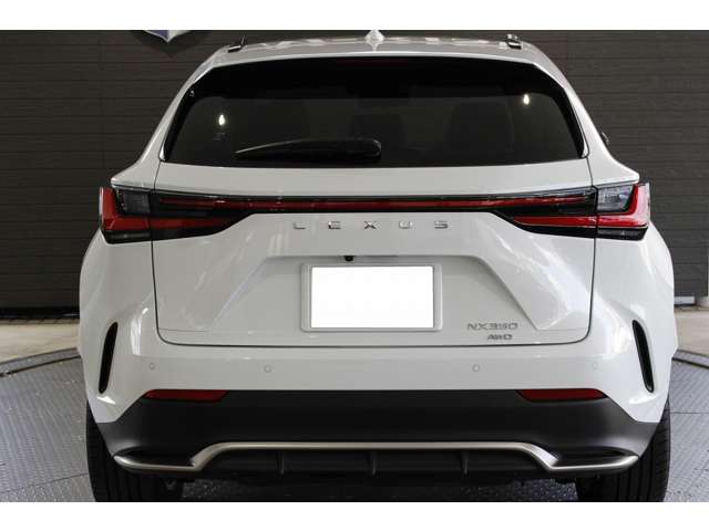 Lexus NX 12