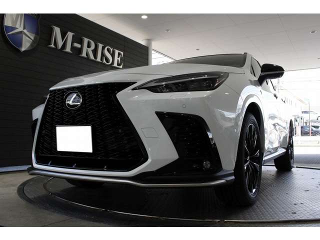 Lexus NX 4