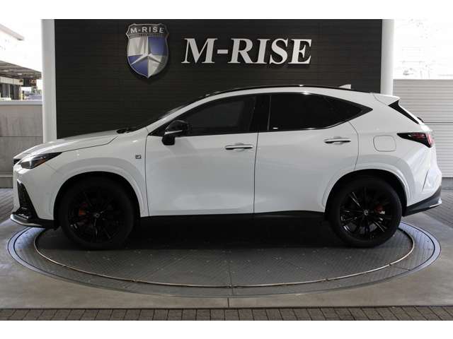 Lexus NX 5