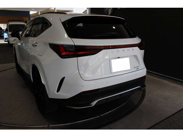 Lexus NX 6