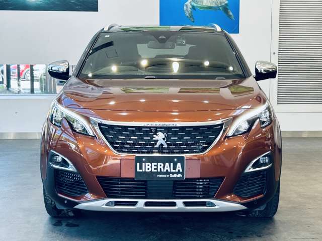 Peugeot 3008 8