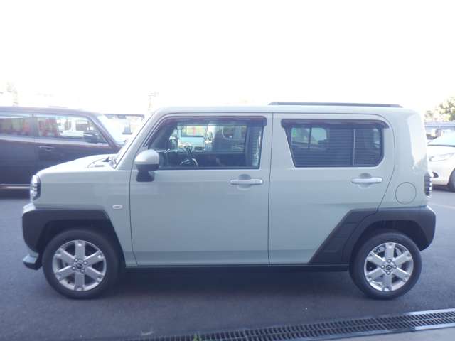 Daihatsu Taft 6