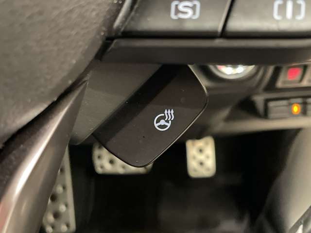 Subaru Forester 13
